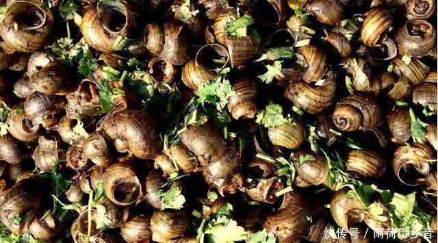 丑陋|6种“外表丑陋”却十分鲜美的海鲜,看看你吃过几种