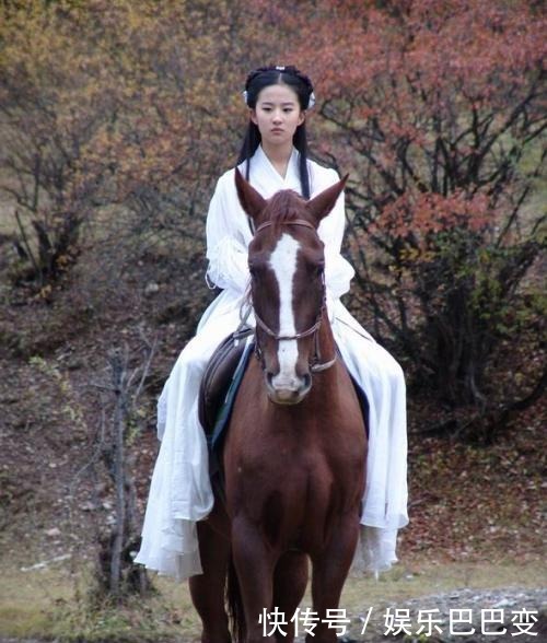 蛇雕|“蛇雕大战”杨过为何救雕原来早有端倪,和他坐骑有关