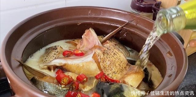 鱼头|原来鱼身上“最贵”的部位是它,很多人白给都不要,懂的人抢着买