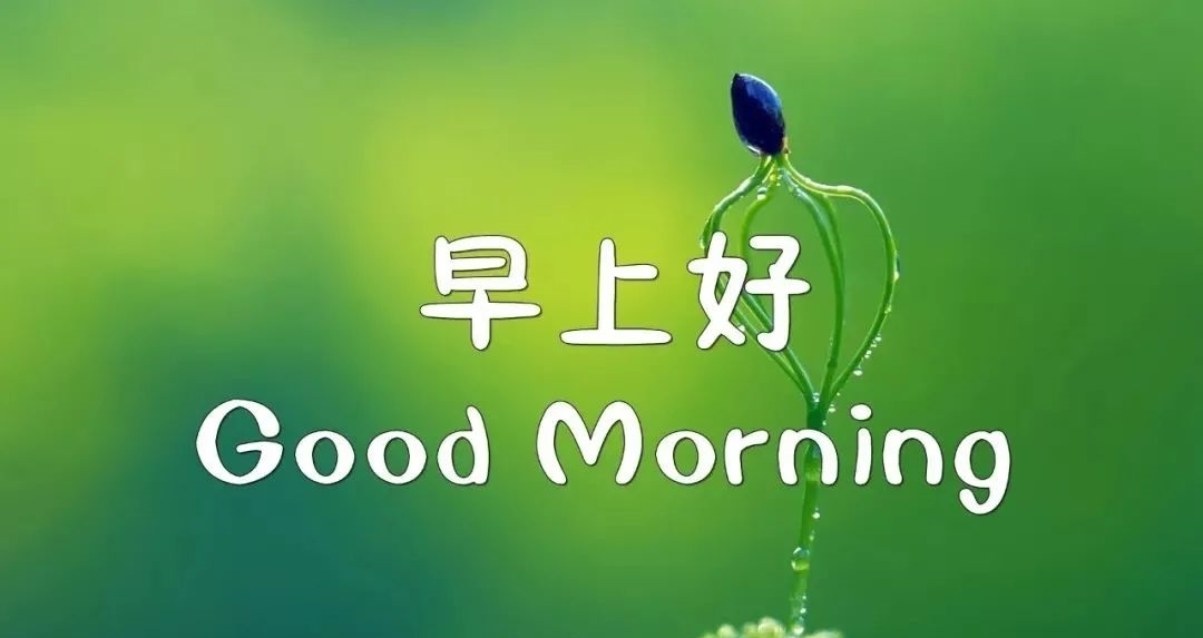 早上开心快乐|2020早上好动态图片精选：在疼爱你的人面前，你永远都只是个孩子