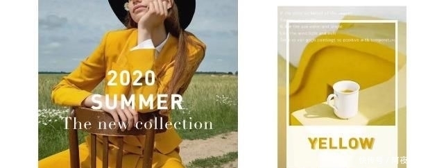  蔷薇|一抹蔷薇粉，触发浪漫灵感