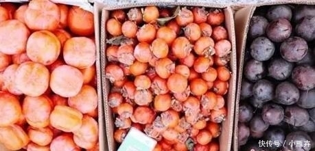 远东人种|为啥东北人普遍“高壮胖”?仔细一琢磨其实很合理……