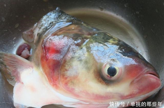 上火|秋季我家最受欢迎的汤,暖胃益智补钙,味道鲜美不上火,常喝