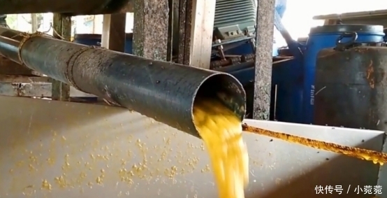 芒果干|中国畅销15年的小零食竟然是印度造的？看完制作流程：打死也不吃