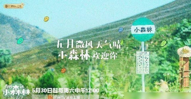  韩国综艺|《奇妙小森林》官宣，节目形式再次抄袭韩国，想看“新”综艺真难