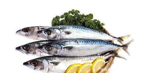 古人|为什么古人把“海鲜”称为“海错”?谈谈中国人吃海鲜的历史