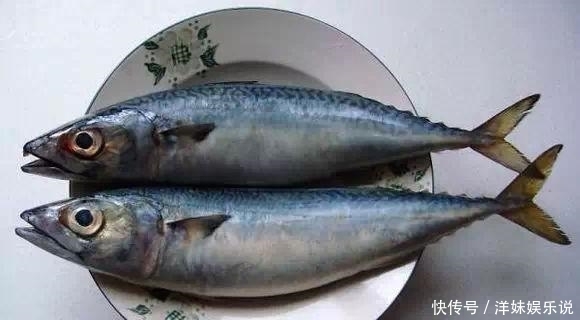 海鲜|海鲜大全, 你能认出多少