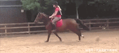 厉害|GIF搞笑趣图: 好厉害的情侣, 这几个动作实在是高难度啊!