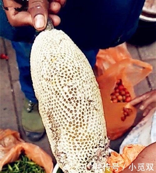 外婆|和外婆逛菜市场, 看见“稀罕美食”, 150元一斤, 我毫不犹豫买了6斤