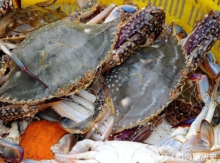 鲜嫩|梭子蟹上市了,渔民教你几个小妙招,挑出的梭子蟹肥美鲜嫩!