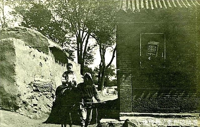 尸体|秃鹰岭无头尸奇案:一句酒后戏言,一具无头尸体,真凶究竟是谁?