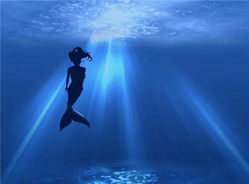 聂璜|故宫有本清朝画册,画了300种生物,唯独这条美人鱼让专家很激动