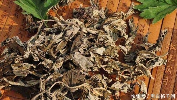  女性|艾叶被称为女性“养生草”，4大好处让人惊喜，可惜很少人知道！