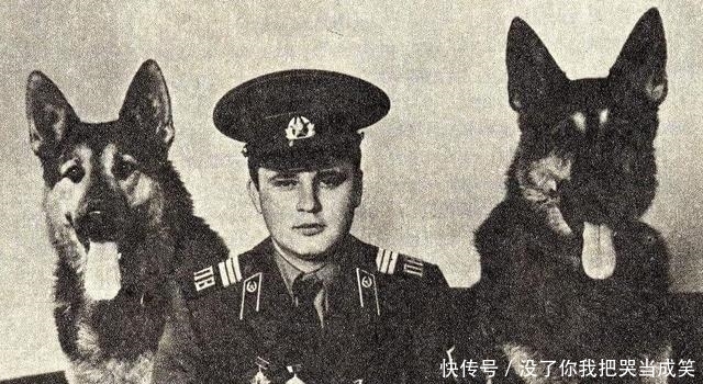 潜伏|董必武是如何在苏联的情报系统里面安排地下党潜伏者的?