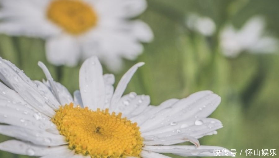 指点|九月上旬开始,财运上佳,事业名利双收,有贵人指点的生肖