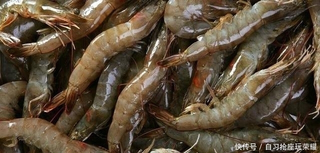 冰箱|保存鲜虾,不要直接放冰箱,贩子教你一招,放多久都和新鲜的一样