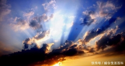 微生物|环境修复:微生物,不可或缺的一环