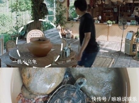 成员|《向往》黄磊让学生推厕所墙铺剧院地板,陈赫送来新成员动霸