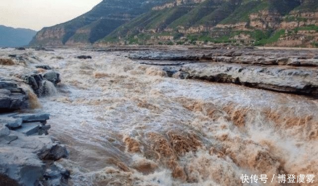 地方|黄河水看上去那么浑浊，却有大量的鲤鱼生存，为什么？