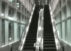  失误|搞笑GIF：我技术还是很好的，你们要相信我，这是失误！