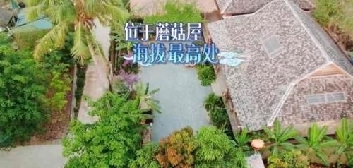  治愈|《向往的生活》第四季治愈来袭，“每一天，都要好好过”