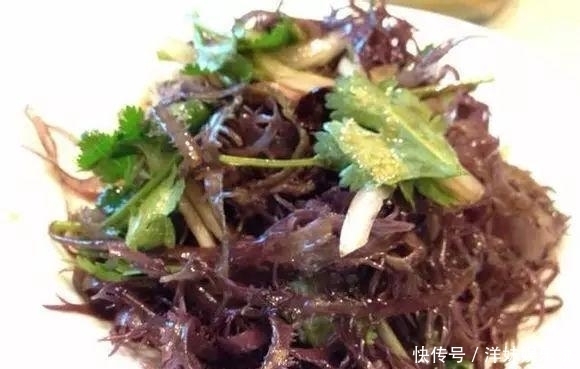 海鲜|海鲜大全, 你能认出多少