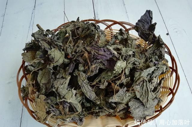  蔬菜|立秋后，遇到这6种蔬菜多买点，晒成菜干，留着冬天炖肉吃特别香