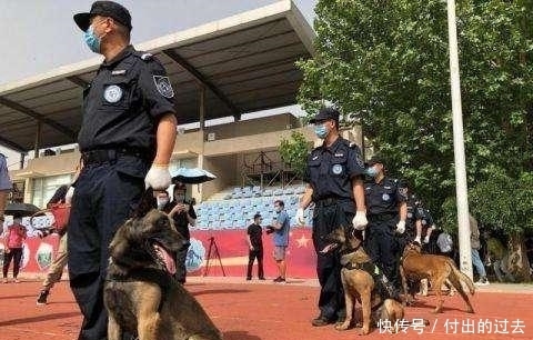  行踪|女子穿吊带睡衣人间蒸发，所有监控不见行踪，抽干湖水寻人仍未果