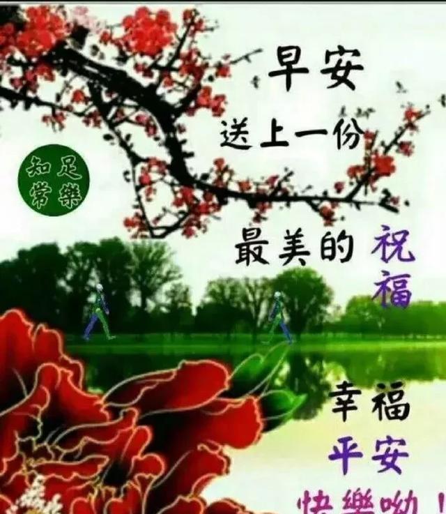 乌龟|别笑乌龟傻,人家懂八卦;别笑蜗牛笨,人家有房又有家,早安