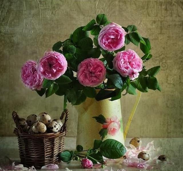  莫名|发人深省的哲理句子，精致有个性，莫名的想哭！