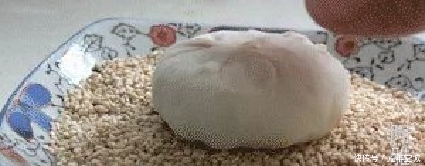 早餐|早餐芝麻饼烧饼,不抹油酥,不用烤箱,2个小技巧,香酥掉渣!