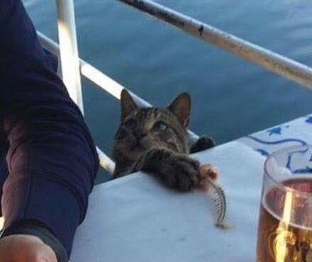 河边|爆笑段子:小时候,一次下雨后去放牛。来到河边时路有点滑