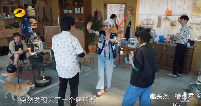大爷|《向往的生活4》郭麒麟喊黄磊大爷,周迅被黄磊调侃萝卜手