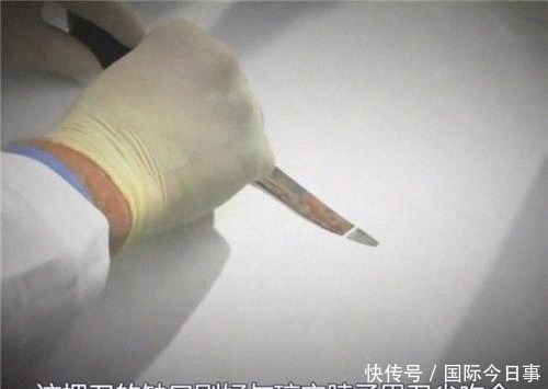凶手|一家3口被害,FBI久不能破案,李昌钰进屋走了一圈,巧妙破案