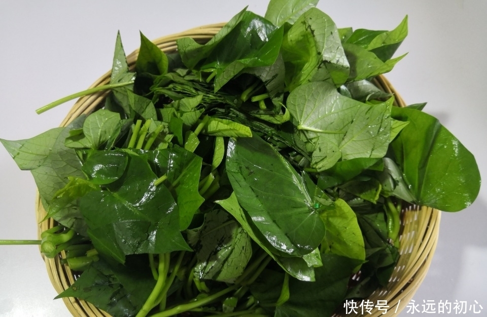 舒服|和红薯是一家的菜,4元一把,晚餐来一盘,吃着肠胃舒服还减肉
