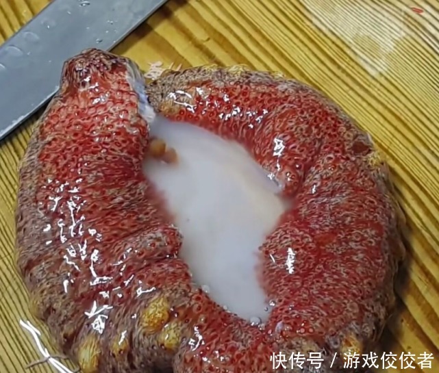 刺身|厨师料理两斤重的大海参,真怕一刀切下去,整个海参直接爆开了