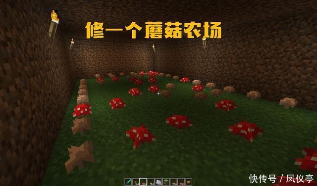 用途|我的世界:蘑菇有什么用?萌新只知道吃,在老手手中有6种用途!
