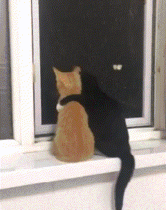 GIF|搞笑GIF：医院WiFi真的挺不错！