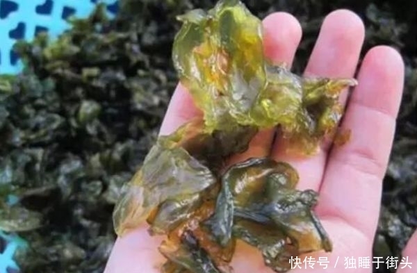 穷人|藏在身边穷人的“燕窝”就是它