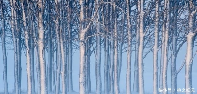 爱情|10月,喜鹊欢叫,天赐良缘,桃花运大涨,爱情幸福美满的3星座