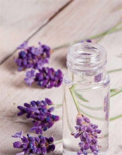 三大|人中龙凤,即使被埋没,最终出人头地的三大生肖