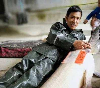 问道|秦桧的后人考中状元后,被乾隆问道其祖先是谁,用7个字巧妙应对!