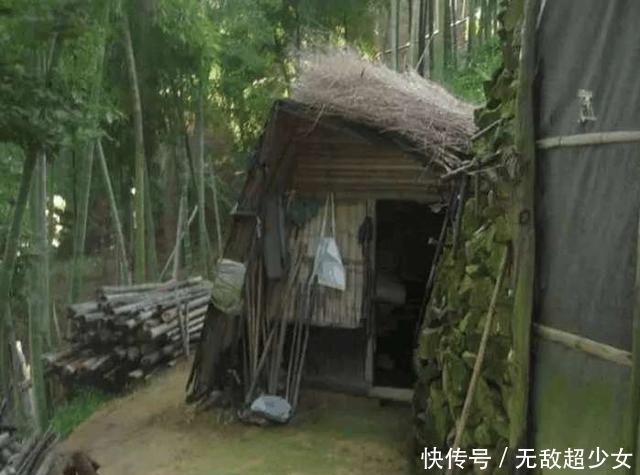  不已|小伙深山发现草屋，里面住着一对中年夫妻，一打听身世佩服不已！