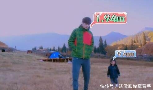 爸爸去哪儿|阿拉蕾回归《爸爸5》,超过「194公分」董力大腿