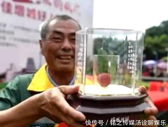 荔枝|19年前花55万拍下一颗天价荔枝,曾经的天价荔枝,如今怎样了?
