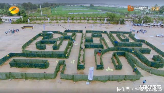  新手|《新手驾到》教练迷宫比赛居然比学员简单，规则只为学员而定