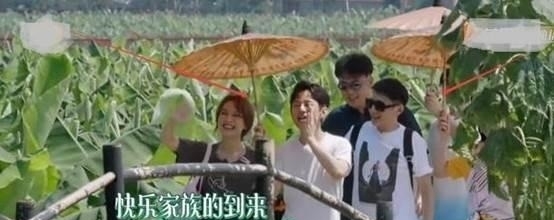  原因|《向往4》快乐家族合体蘑菇屋，吴昕终于成焦点，原因饱含心酸！
