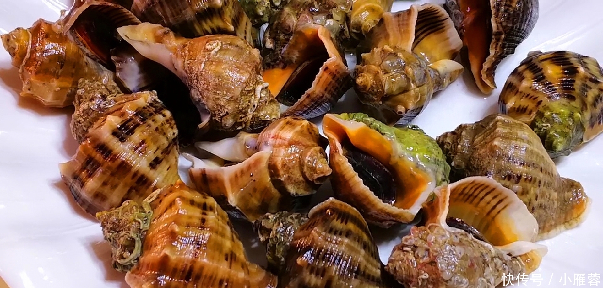 好吃|煮海螺时,用冷水还是热水?以前没注意,难怪螺肉又腥又硬不好吃