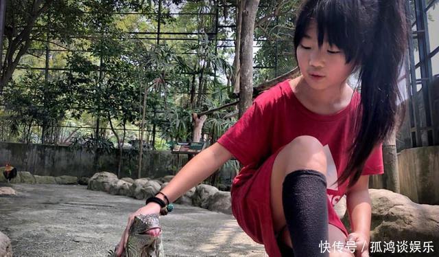 逆袭|当初女儿像王祖蓝,蒜头鼻“毁”颜值,如今李亚男隐隐逆袭!