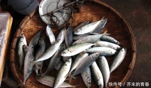 种鱼|去菜市场买鱼时,看到这3种鱼可以多买点,没法养殖只有野生的